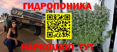 наркотики Свободный