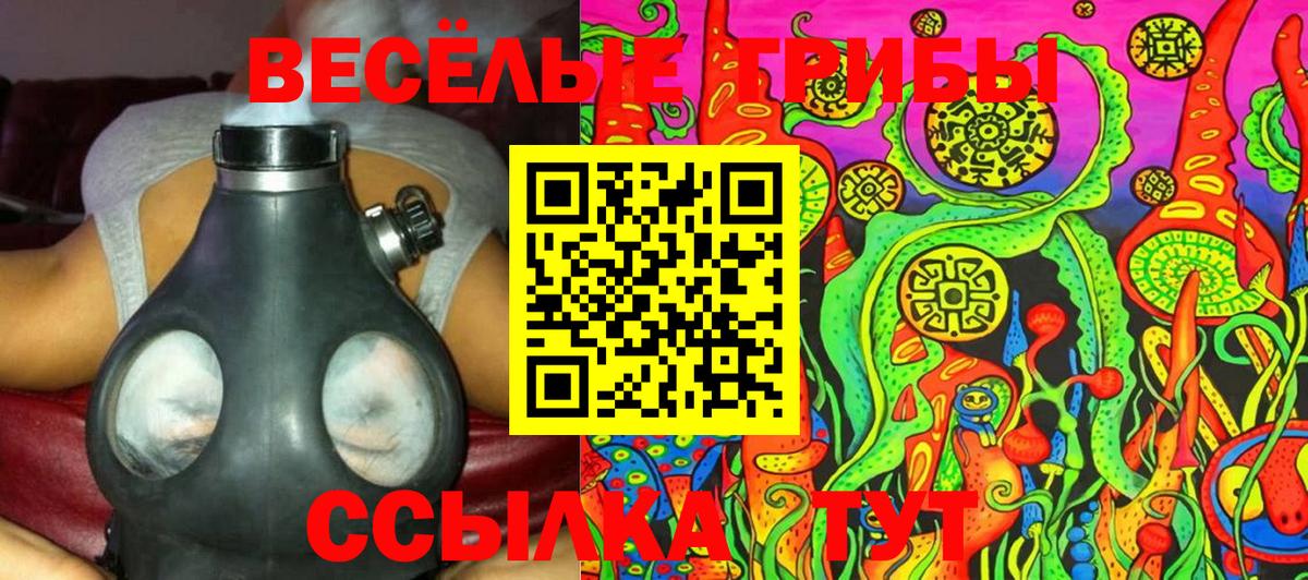 Галлюциногенные грибы Psilocybine cubensis Ачинск
